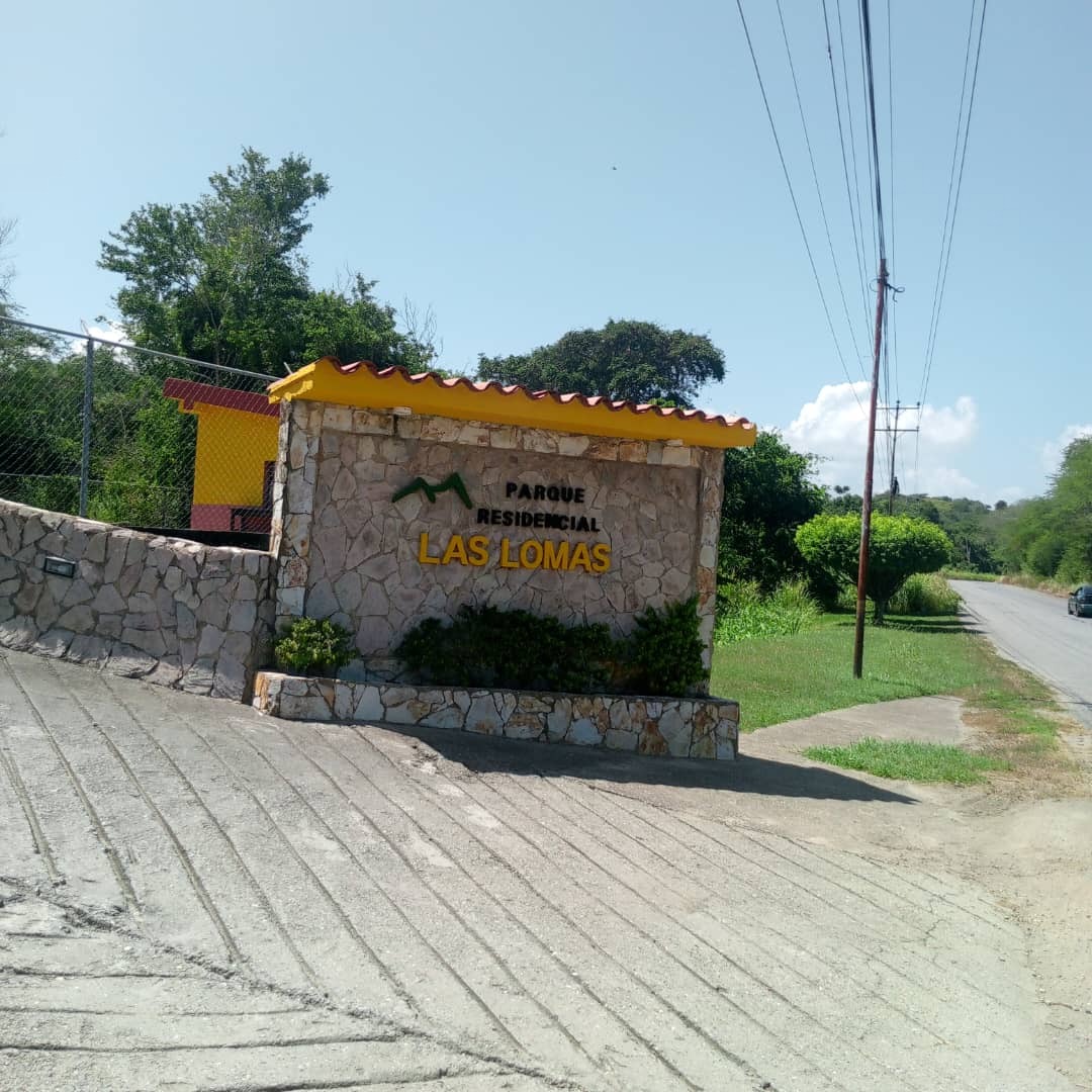 WhatsApp_Image_2026_02_15_at_10.19.10_AM